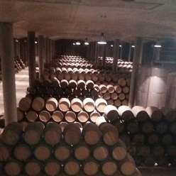 17-10-03-Reise-Rioja_17