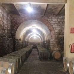 17-10-03-Reise-Rioja_22