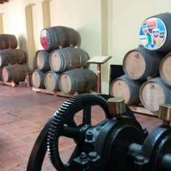 17-10-03-Reise-Rioja_23