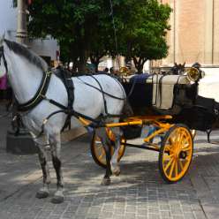 17-04-18-Portugal-Reise_17