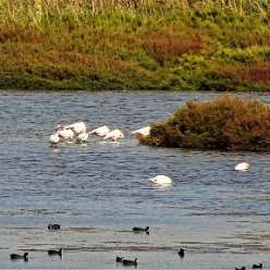 17-09-22-Reise-Tabarca_08