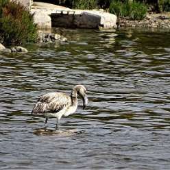 17-09-22-Reise-Tabarca_12