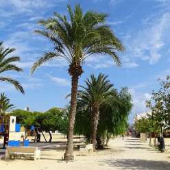 17-09-22-Reise-Tabarca_35