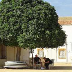 17-09-22-Reise-Tabarca_44