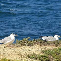 17-09-22-Reise-Tabarca_53