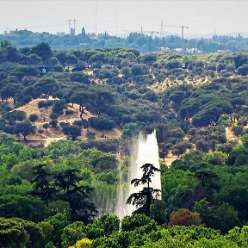 17-06-01-Reise-Madrid_08