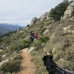 17-02-01-wandern-11