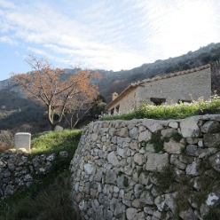 17-02-01-wandern-31