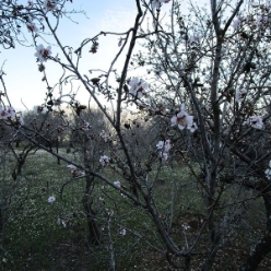 17-02-01-wandern-32