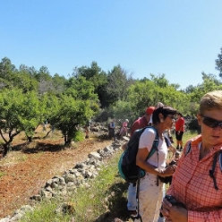 17-05-03-Wandern_06