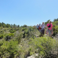 17-05-03-Wandern_12