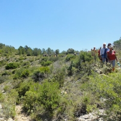 17-05-03-Wandern_13