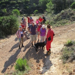 17-10-04-wandern
