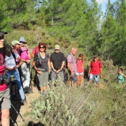 17-10-04-wandern_02