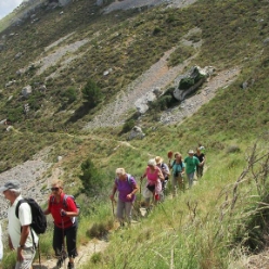 17-06-07-Wandern_08