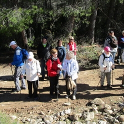 17-02-08-wandern-08