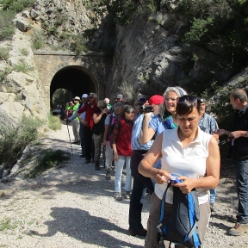 17-03-08-wandern-08