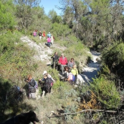 17-11-08-Vall-d-Alcala-04