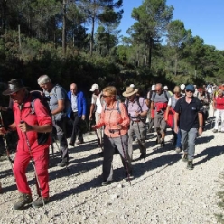 17-11-08-Vall-d-Alcala-06