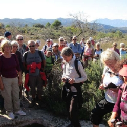 17-11-08-Vall-d-Alcala-15