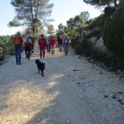 17-11-08-Vall-d-Alcala-18
