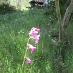 17-05-10-Wandern_07