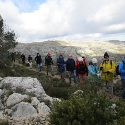 17-01-11-Wandern-02