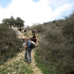 17-01-11-Wandern-05