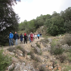 17-01-11-Wandern-06