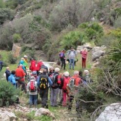 17-01-11-Wandern-07