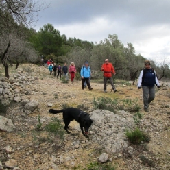 17-01-11-Wandern-09