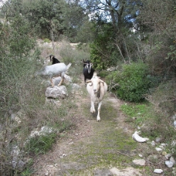 17-01-11-Wandern-17