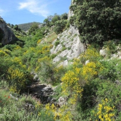 17-05-14-Wandern_08