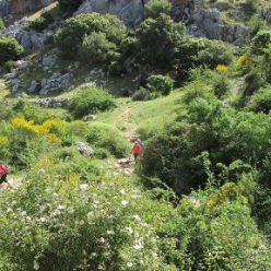 17-05-14-Wandern_09