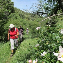 17-05-14-Wandern_10