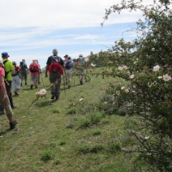 17-05-14-Wandern_11