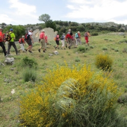 17-05-14-Wandern_12