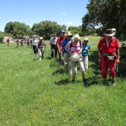17-05-14-Wandern_42