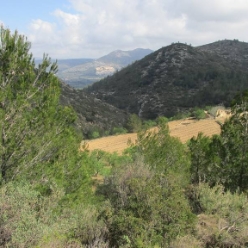 15.03. - Col de Rates