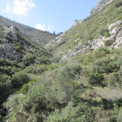 17-03-15-wandern-07