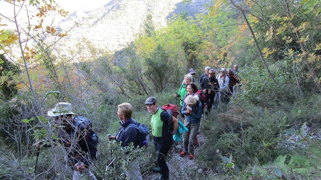 17-11-15-Wandern-02