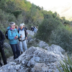 17-11-15-Wandern-01