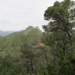 17-04-19-wandern_04