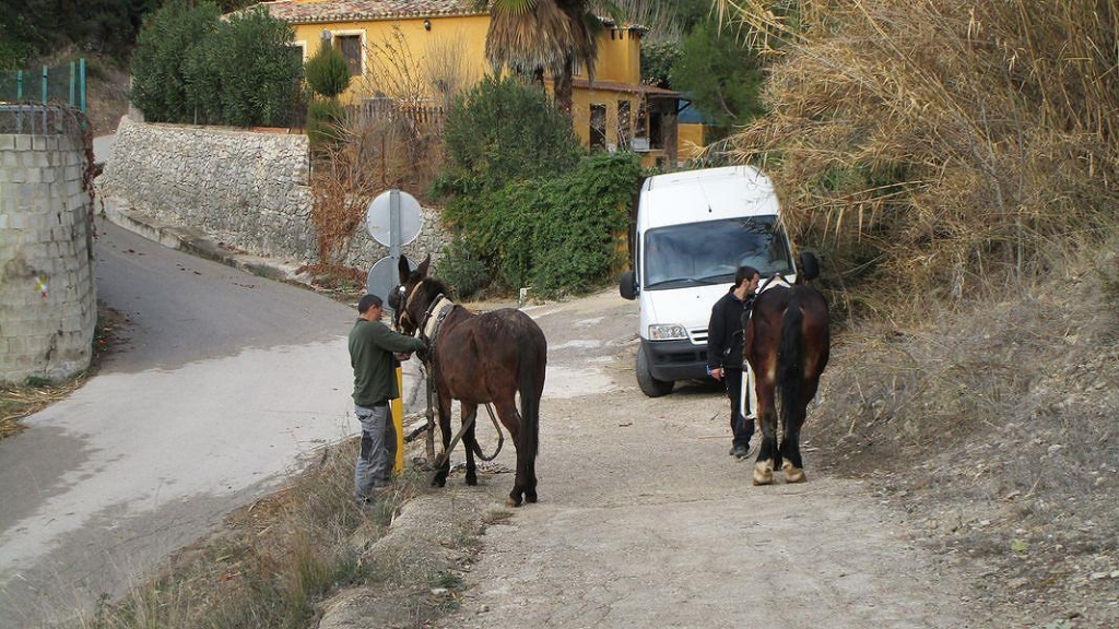 17-12-20-Busabschlusswanderung-05