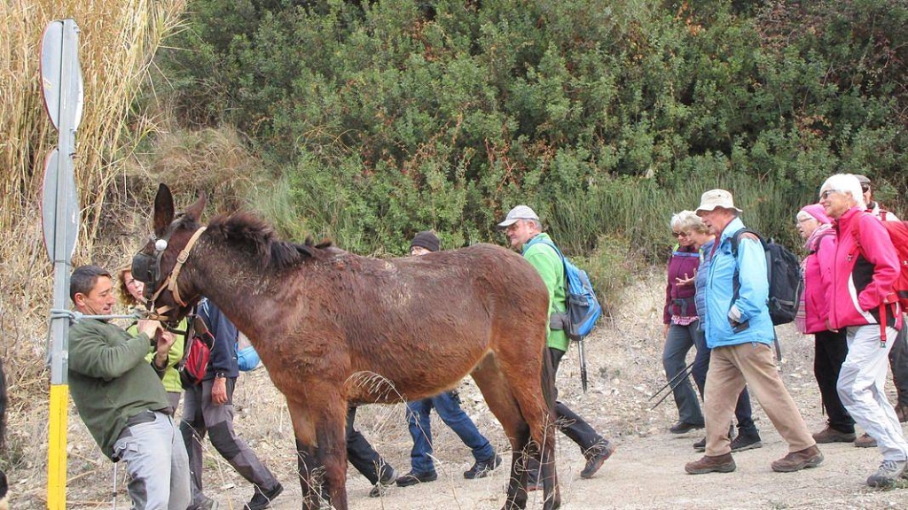 17-12-20-Busabschlusswanderung-07