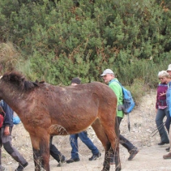 17-12-20-Busabschlusswanderung-07