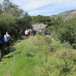 17-03-22-Wandern-15