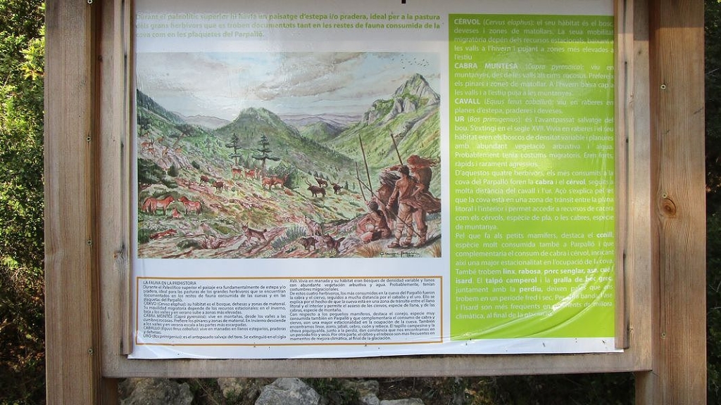 17-11-22-wandern-07