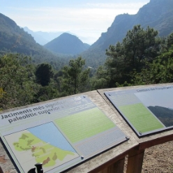 17-11-22-wandern-02