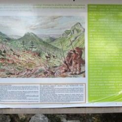 17-11-22-wandern-07